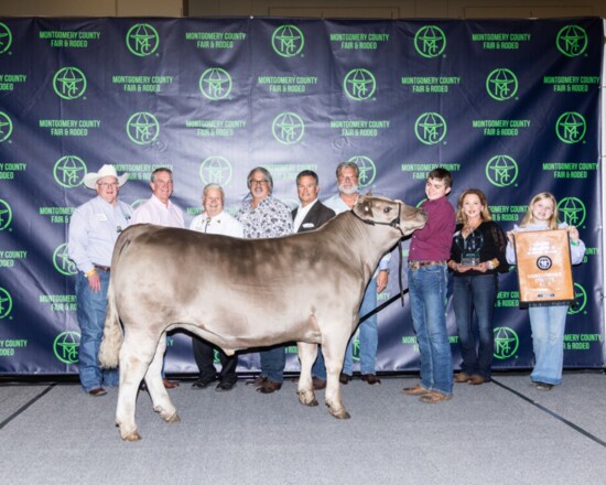 Junior Livestock Auction