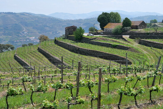 The Duoro Region, Portugal