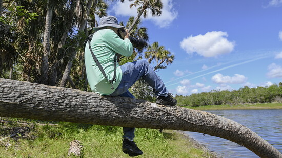Nature photographer Brian Glantz sits atop a leaning palm tree to shoot the Myakka River.