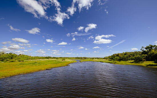 A view of the Myakka River.
