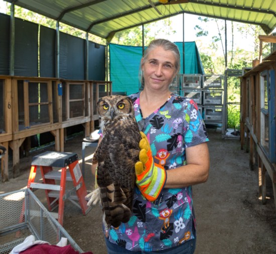 The Wildlife Center’s director of operations, Pamela DeFouw, with a great horned owl