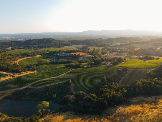 photo courtesy of Chalk Hill