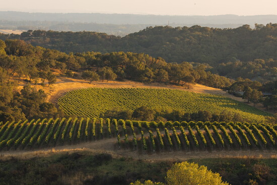 Photo by Alexander Rubin, photo courtesy of Chalk Hill