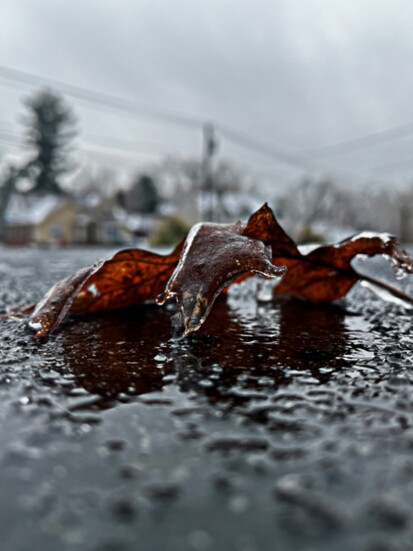 “Icey Leaf”, Ibrahim Makhoul, Digitally Manipulated Photography, Wayne Hills High School