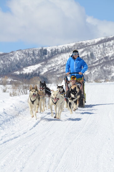 Photo credit: Grizzle-T Dog & Sled Works