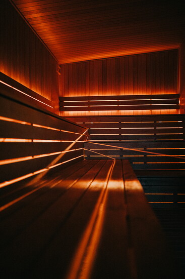 Photo Courtesy of Portal