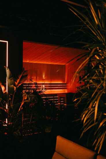 Photo Courtesy of Portal