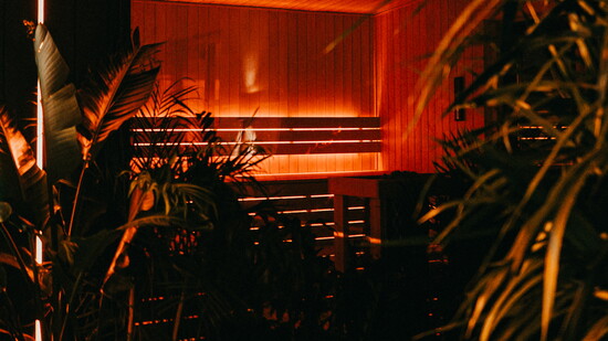 Photo Courtesy of Portal