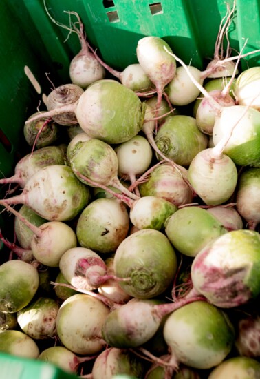 watermelon radishes grown locally 