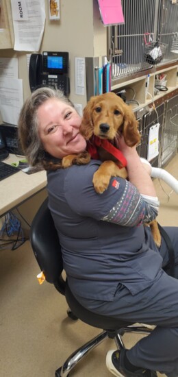 Veterinary Assistant Kelley at Westonka Animal Hospital