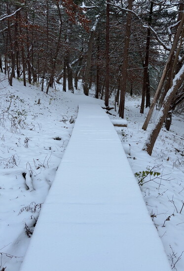 Snowy Linear Trail hike