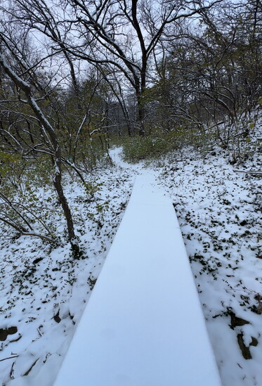 Snowy Linear Trail hike