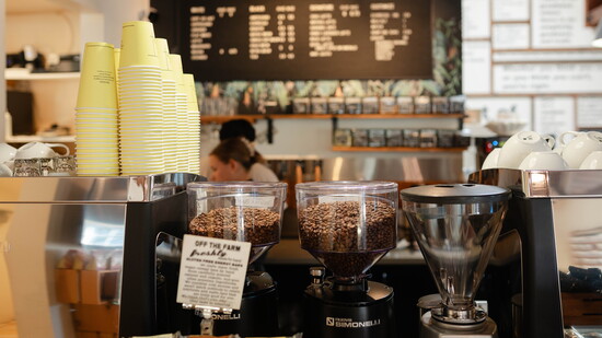 Featured image for Women Entrepreneurs Putting Down Roots in Walnut Creek