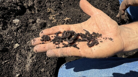 Organic farming includes composting