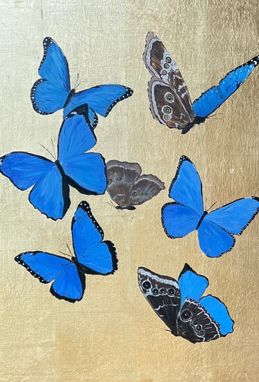 Tara Andris, Bluemorpho