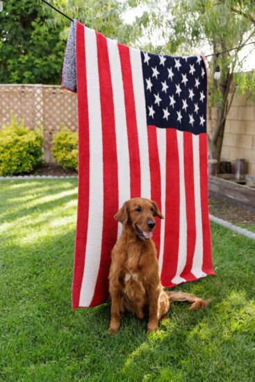 A patriotic puppy.