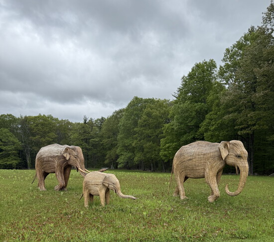 Great Elephant Migration, Southern India Artisans