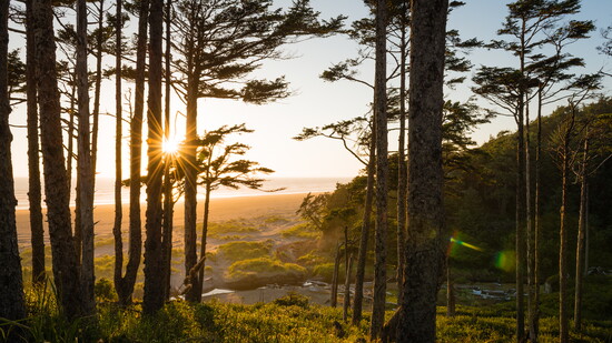 Seabrook Washington