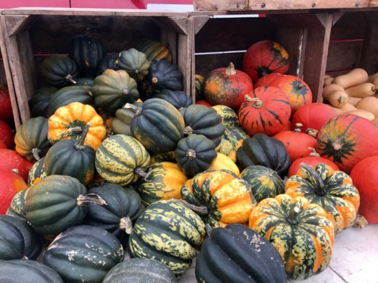 Autumn Squash