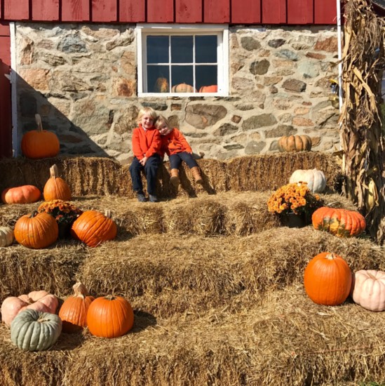 Pumpkin Picking at Wegmeyer Farm