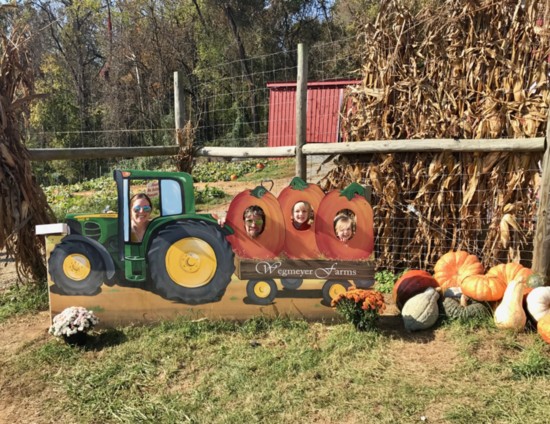 Pumpkin Picking at Wegmeyer Farm