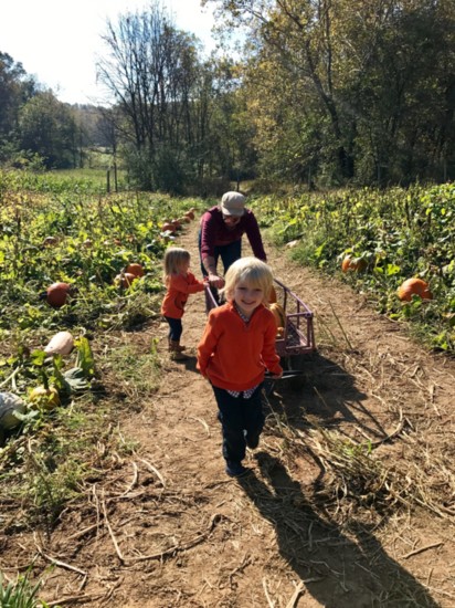 Pumpkin Picking at Wegmeyer Farms is just one stop in a perfect Loudoun Saturday. 