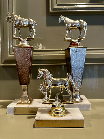 Trophies from Heirloom House @shopheirloomhouse