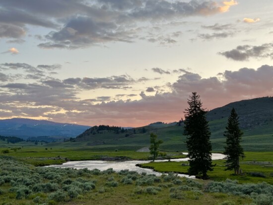 Lamar Valley