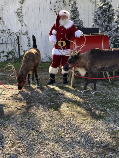 Santa getting his reindeer ready for adventures. 