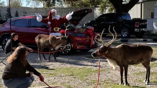 Yes, Virginia! Reindeer Do Live in Conroe!