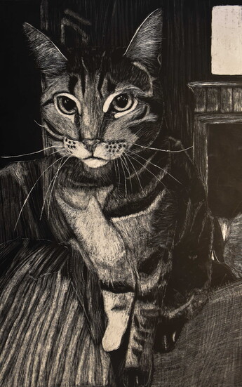 Blaire B., "Pixie," scratchboard, 7 x 12 in., 8th Grade Best in Class, Episcopal Collegiate School, Art Educator: Sarah Higgins
