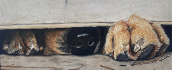Chloe W., "Come Back," pastel, 14 x 26 in., 10th Grade Best in Class, Flippin High School, Art Educator: Cheryl Blasdel