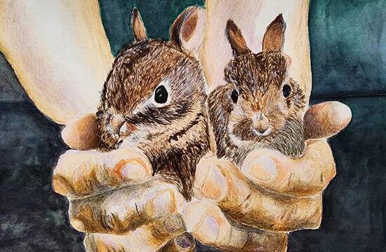Valerie H., "Angel Bunnies," watercolor and Prismacolor colored pencil, 12 x 8 in., 6th Grade, Cabot Middle School North, Art Educator: Lisa Smith