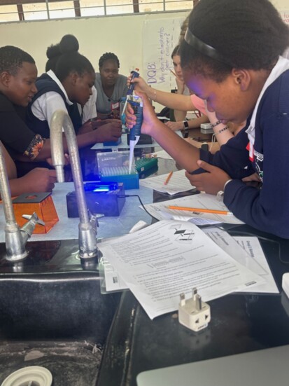 Working on a DNA lab