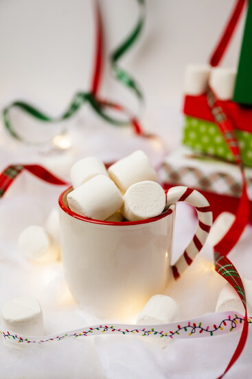 Photo by Meredith Mashburn Photography