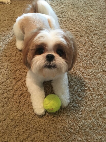 Oliver