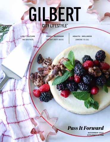 Gilbert City Lifestyle