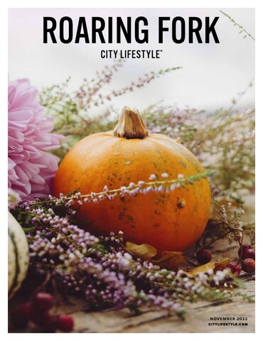 Roaring Fork City Lifestyle